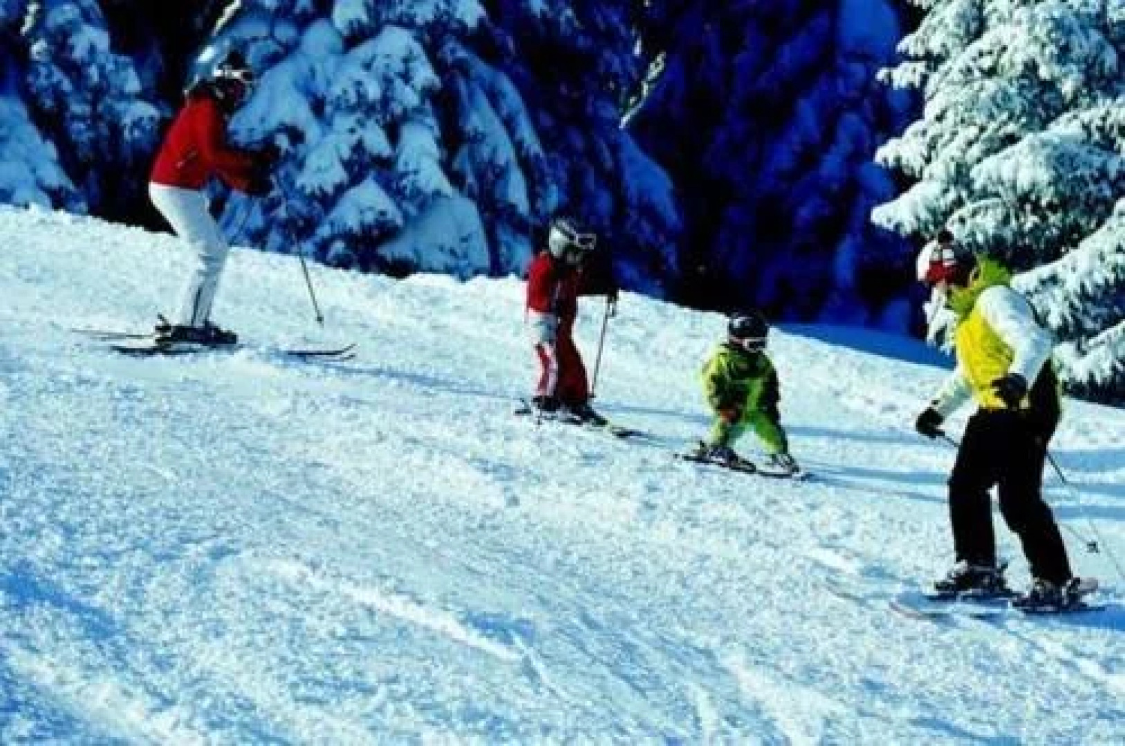 Aparthaus Birkenheim