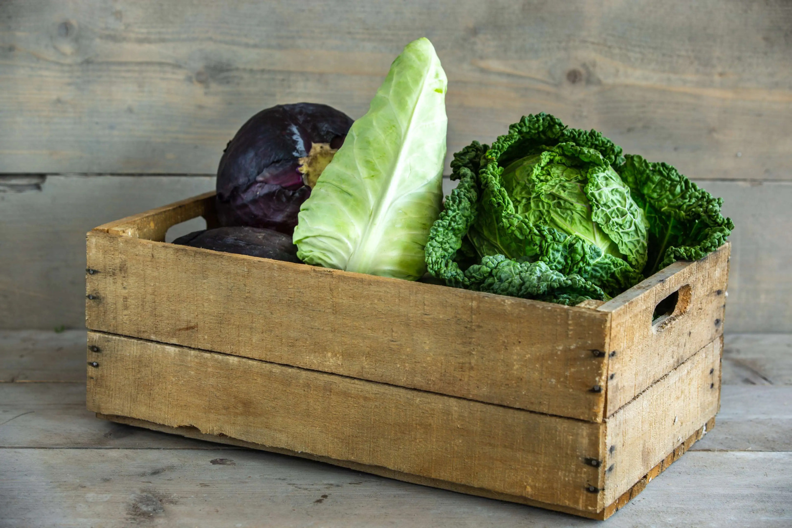 Radisson Blu Hotel, Antwerp City Centre