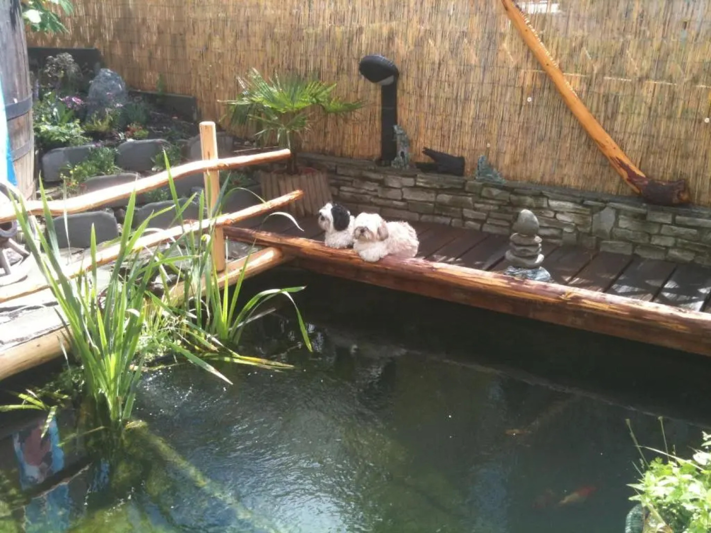 Residence Pizzeria Priska