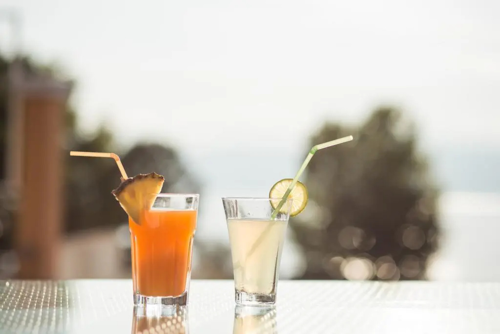 Bed & Breakfast Vila Mina