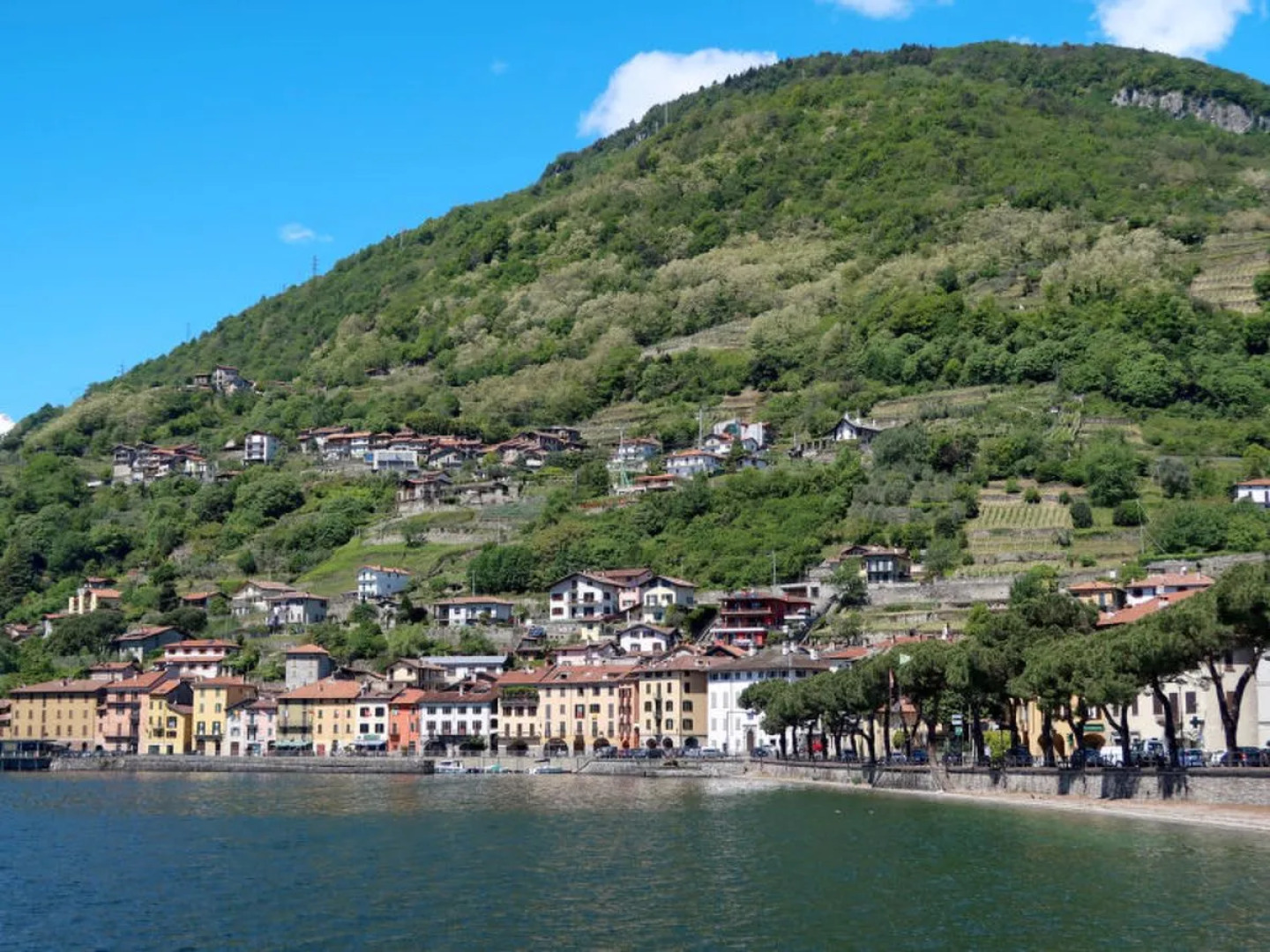 Rustico Maria (DMA392)