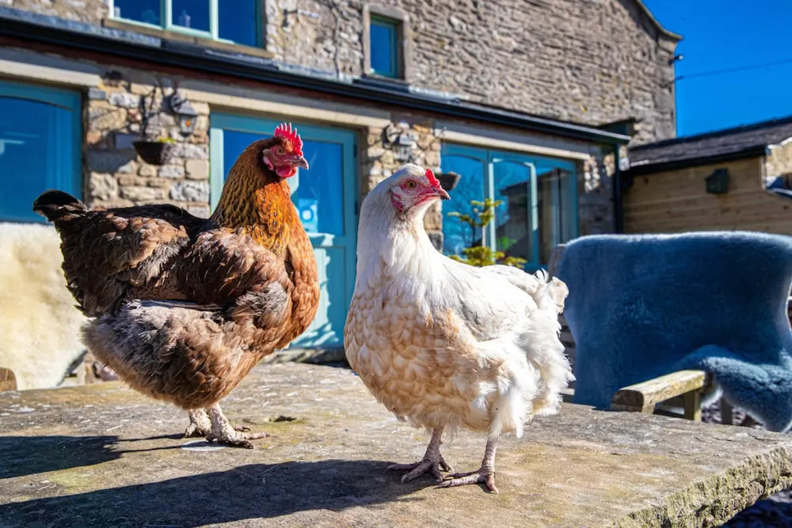 Middle Studfold Farm B&B