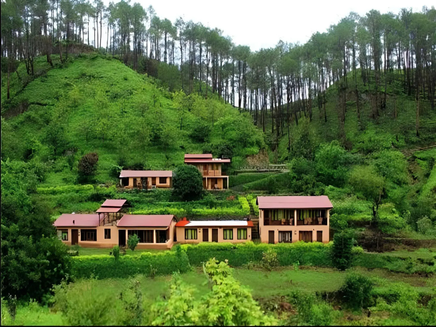 Perfectly Located Resort amidst Majkhali Woods