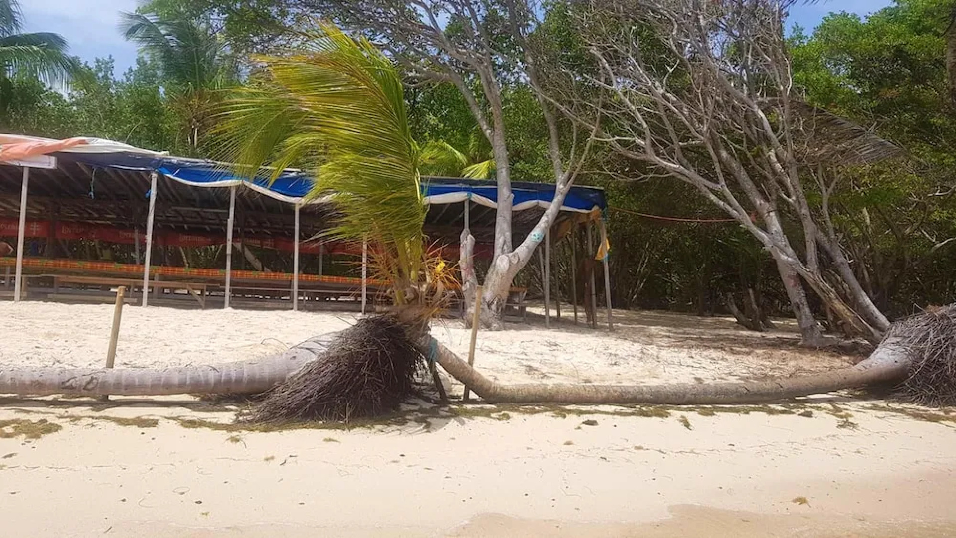 House With 2 Bedrooms in Sainte-anne, With Furnished Terrace and Wifi