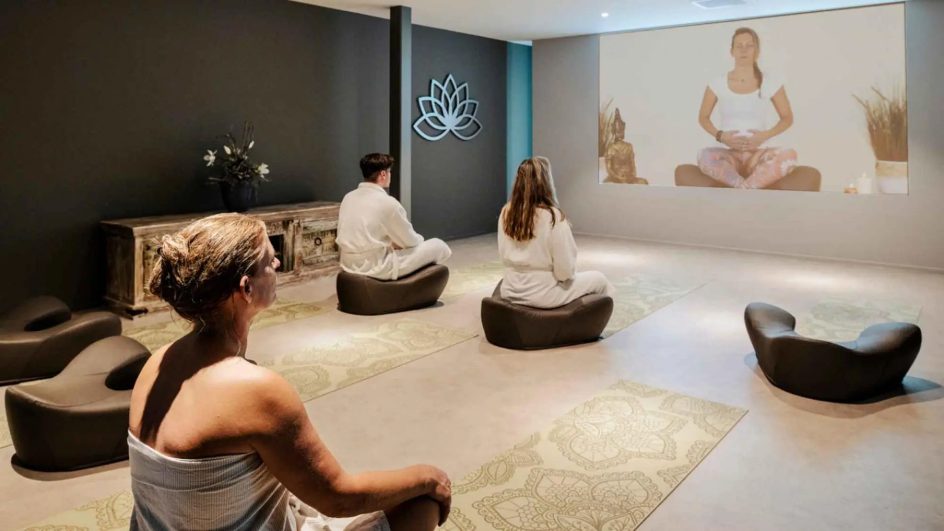 Albatros 12p in Oosterhout