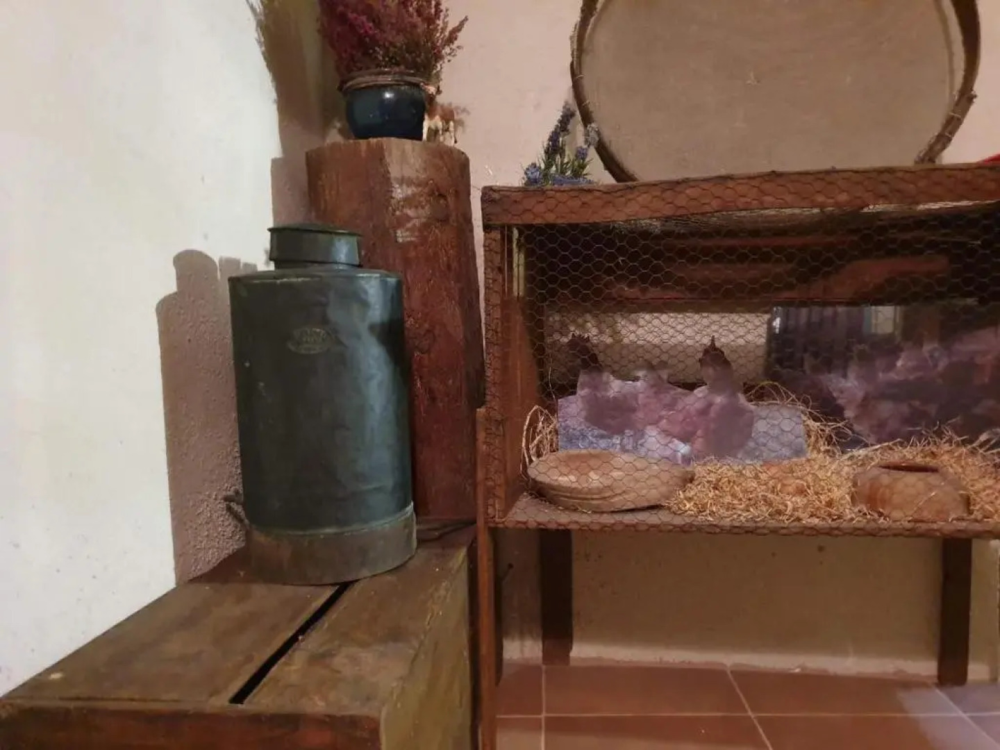 EVA & TRAVEL - Baronia - L'Escoleta 1