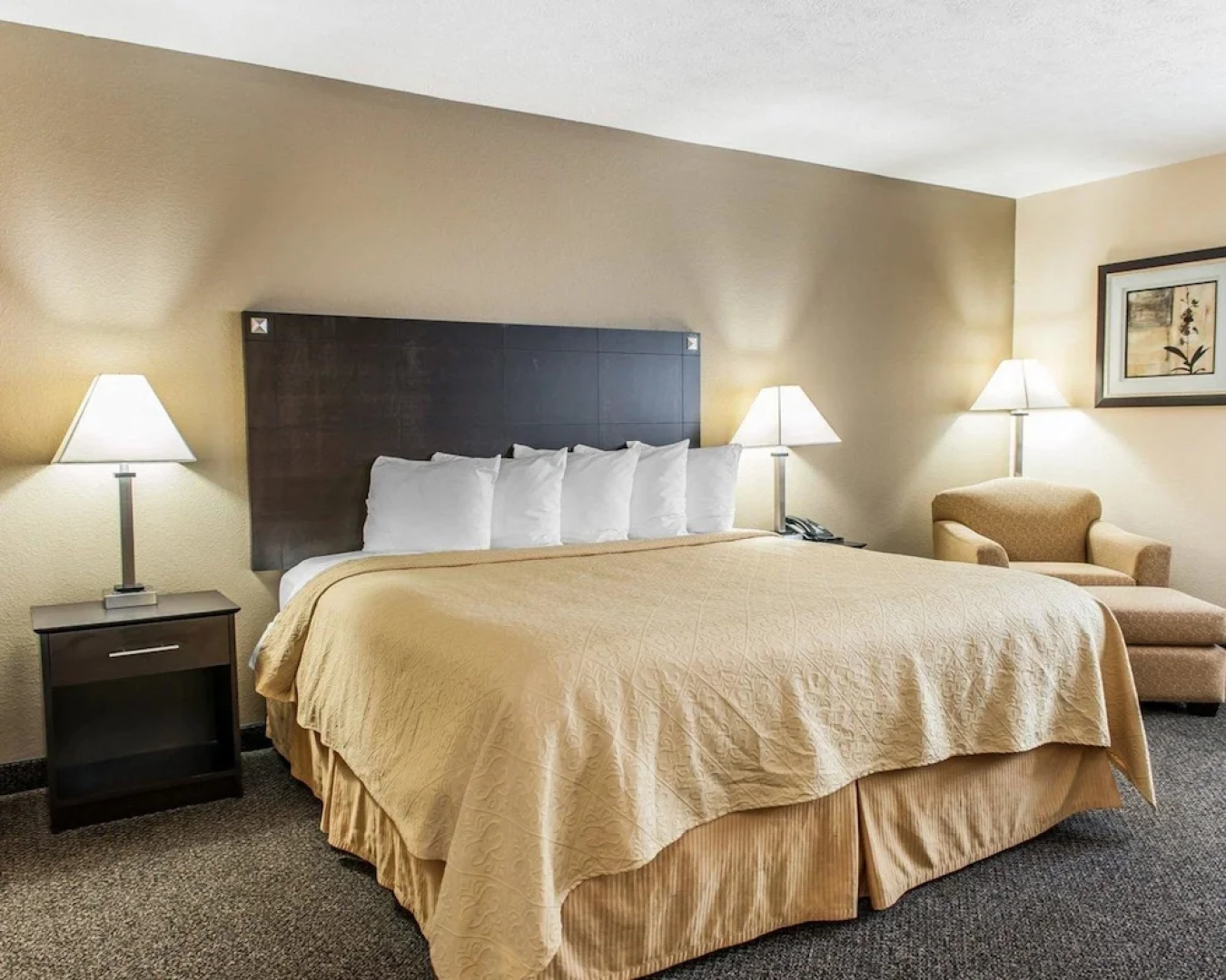 Quality Inn & Suites  Mattoon Area