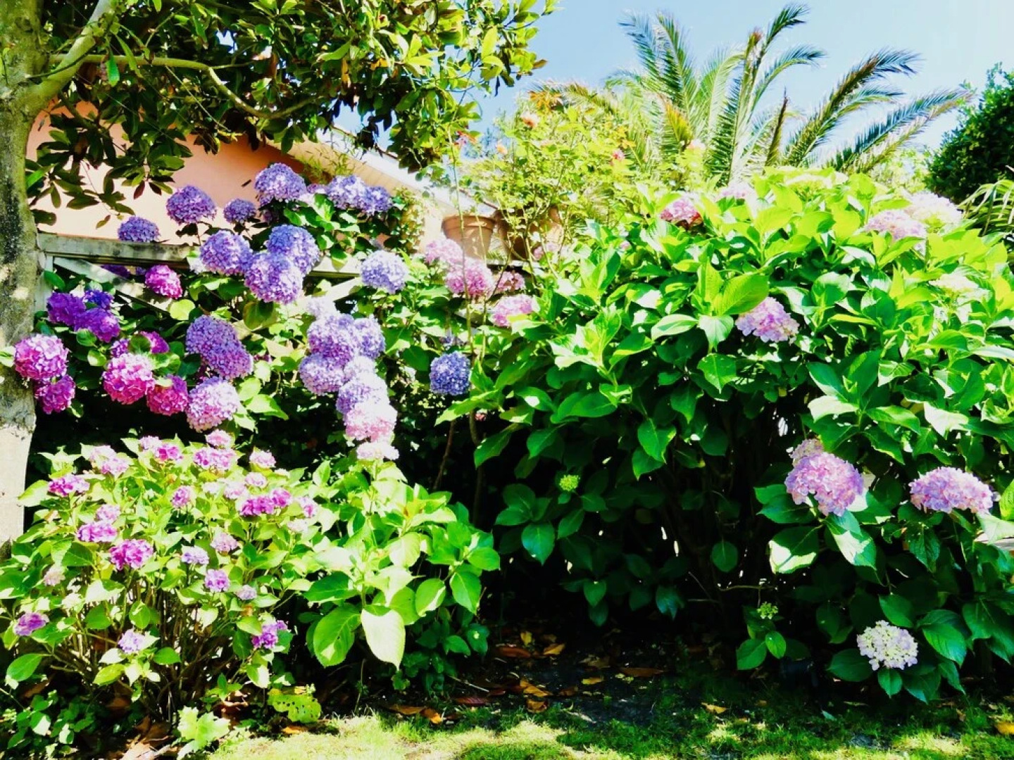 Chambres d'hôtes Madiha Lacanau-Ocean