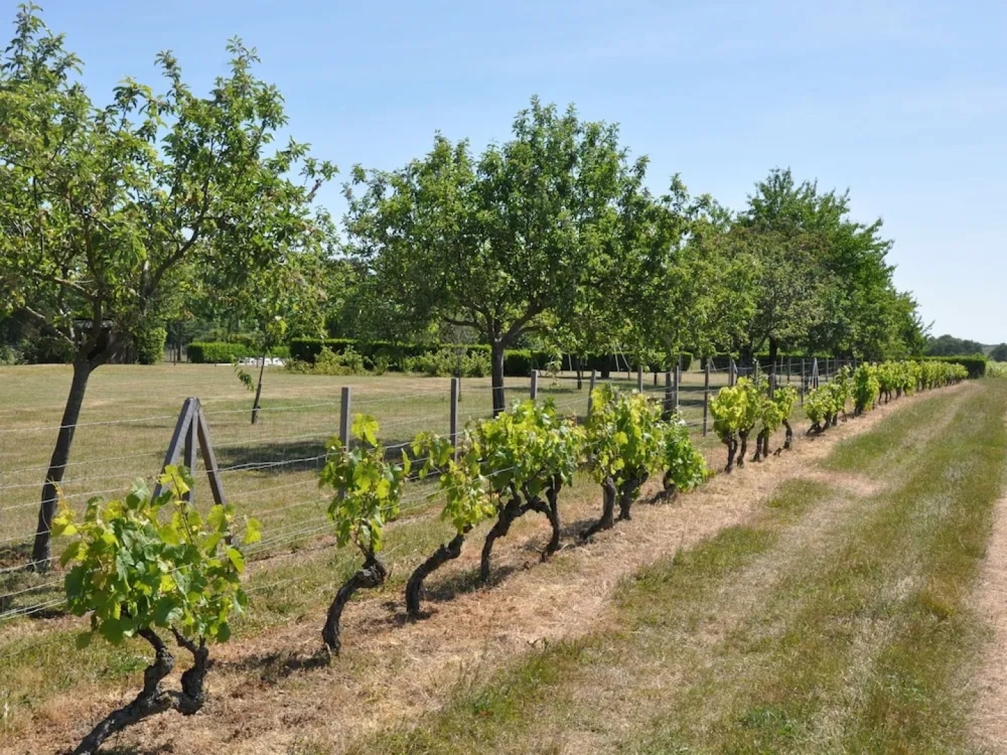 Holiday Home La Haie