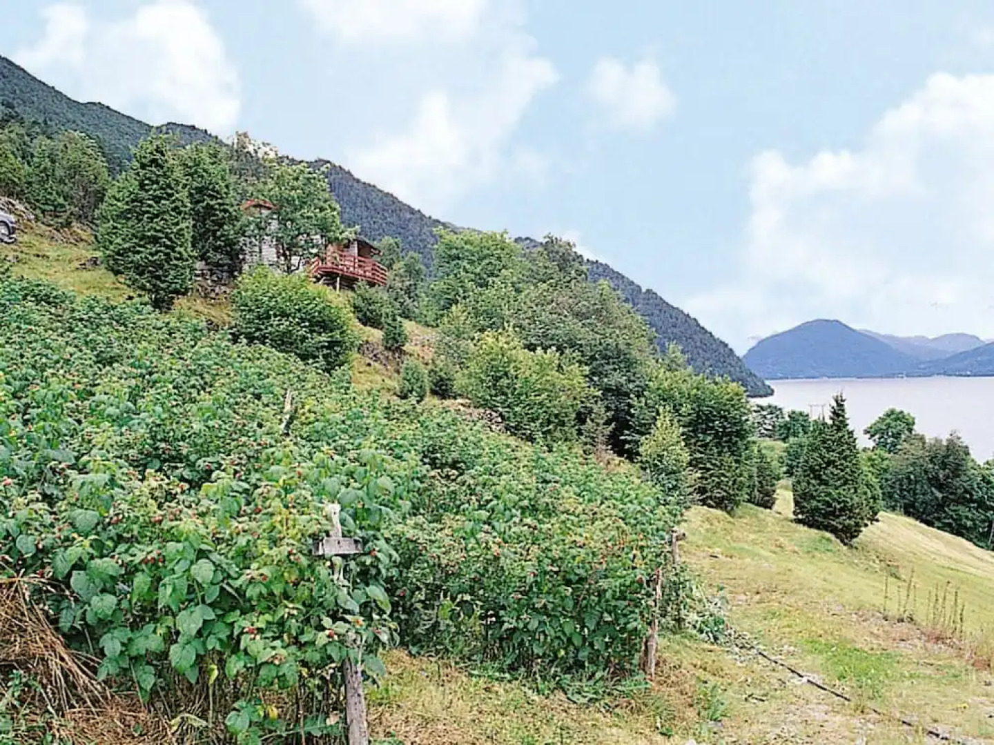 8 Person Holiday Home in Nordfjordeid