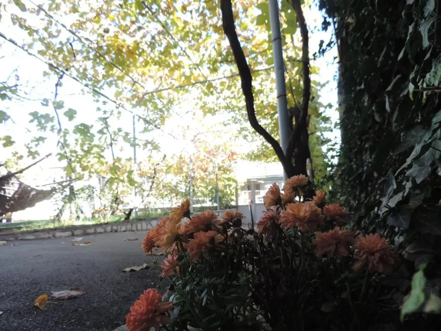 Tetriani Guesthouse