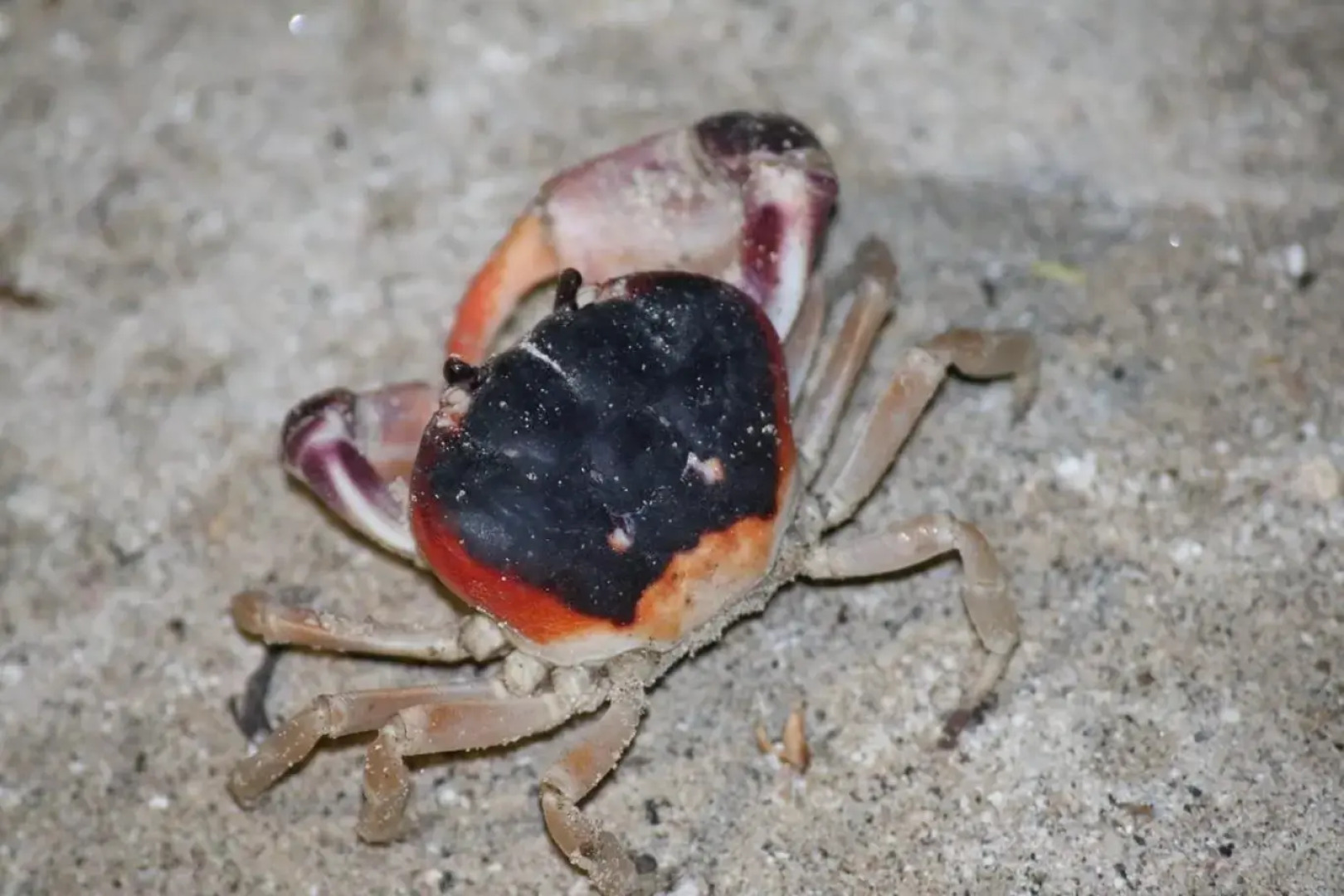 Studio ds résidence sécurisée avec vue & accès à la mer .