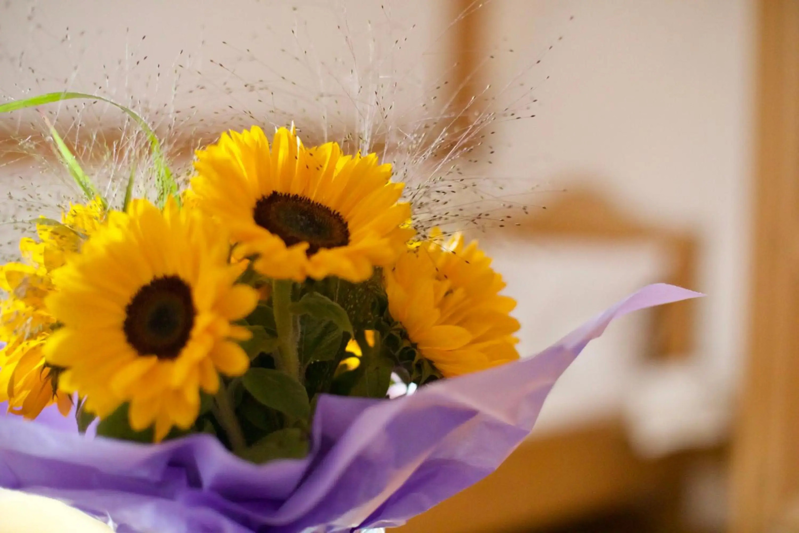 Zentrum für Umwelt und Kultur - Gästehaus und Jugendbildungseinrichtung im Maierhof