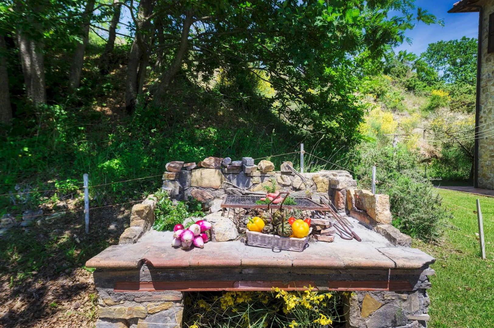 Tr-f513-mgab0at - Pianarina 10 2