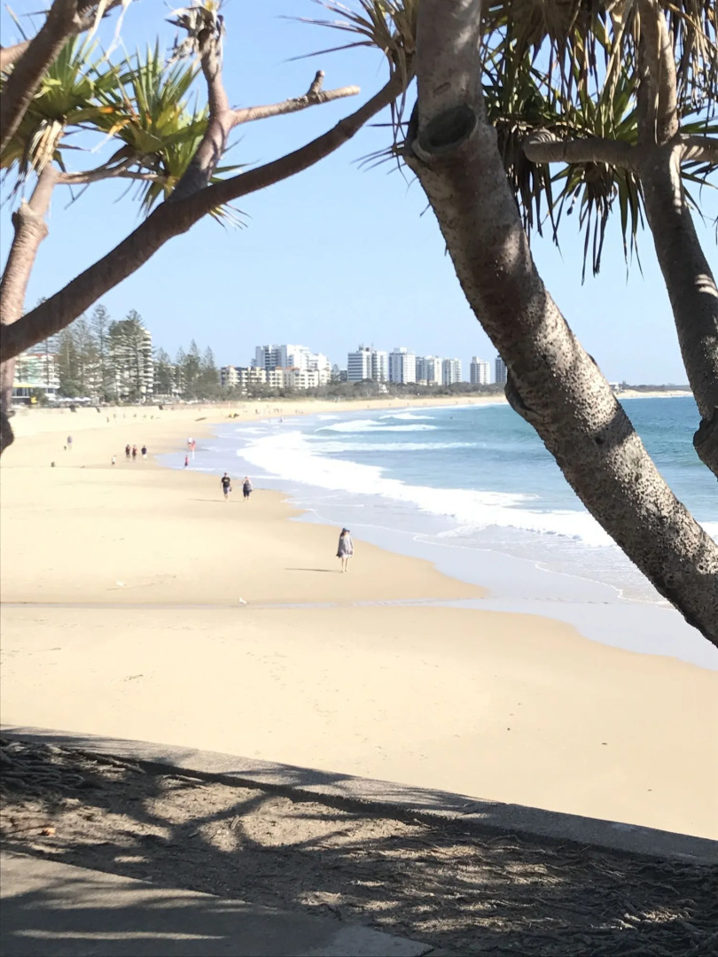 Meridian Alex Beach Apartments