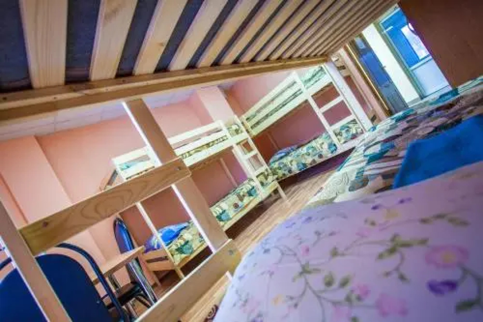 Южная Трибуна