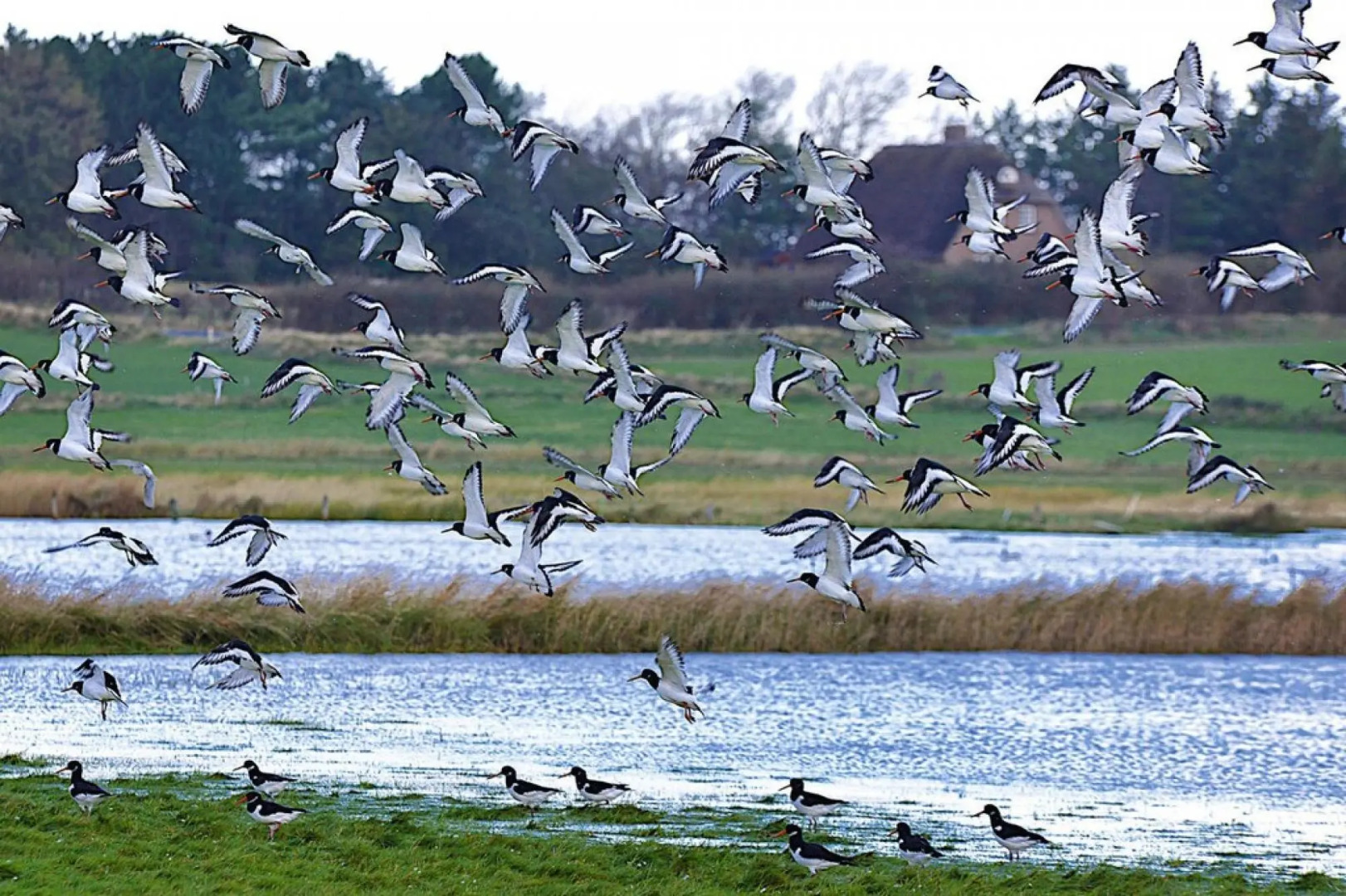 Apartment, Oevenum in Oevenum