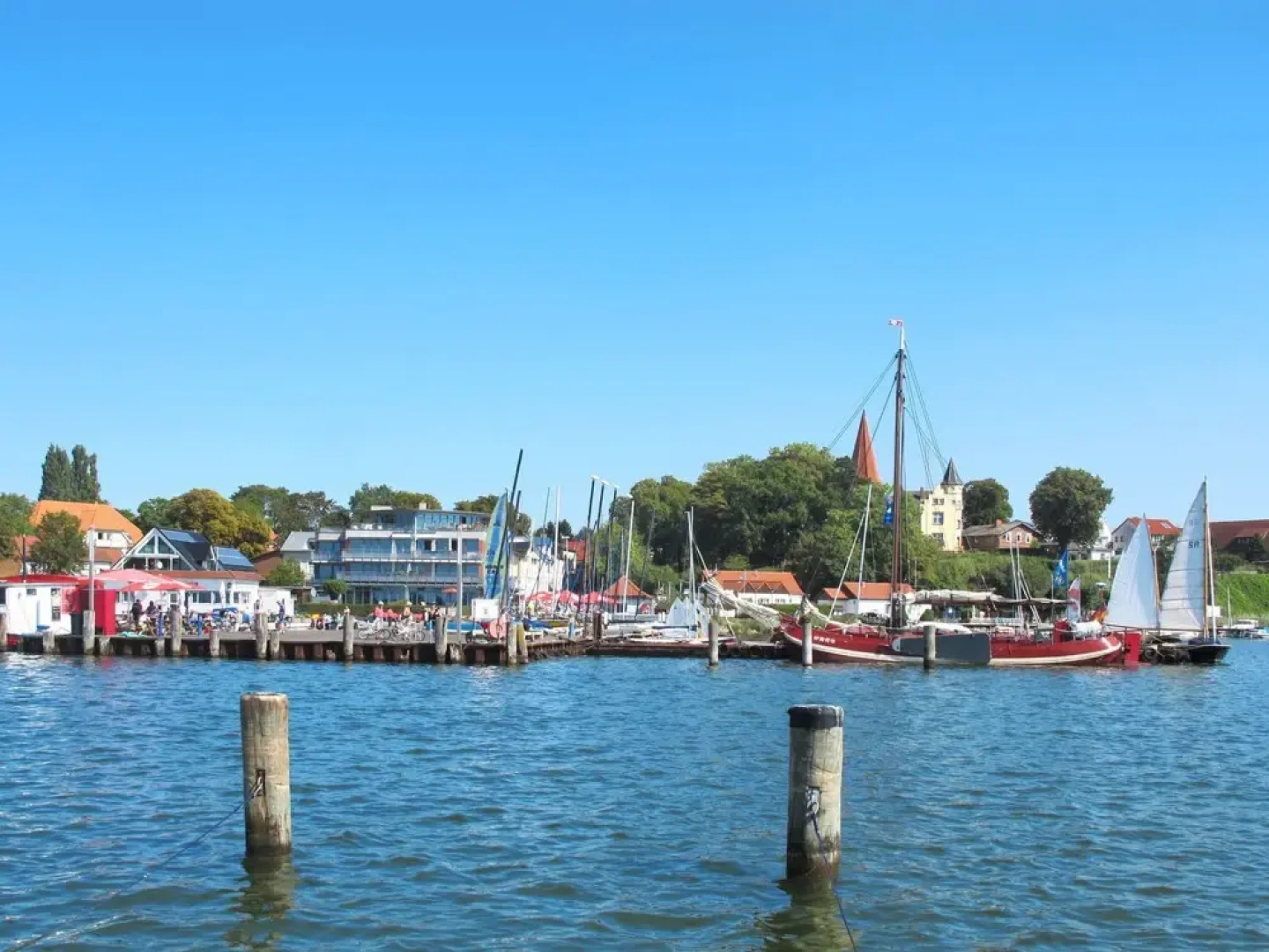 Sanddorn Altef hr in Altef hr