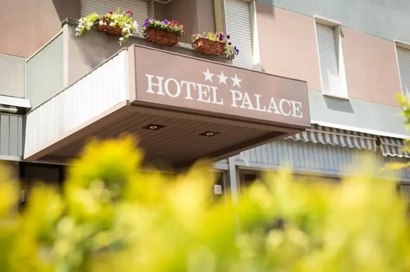 Palace Hotel