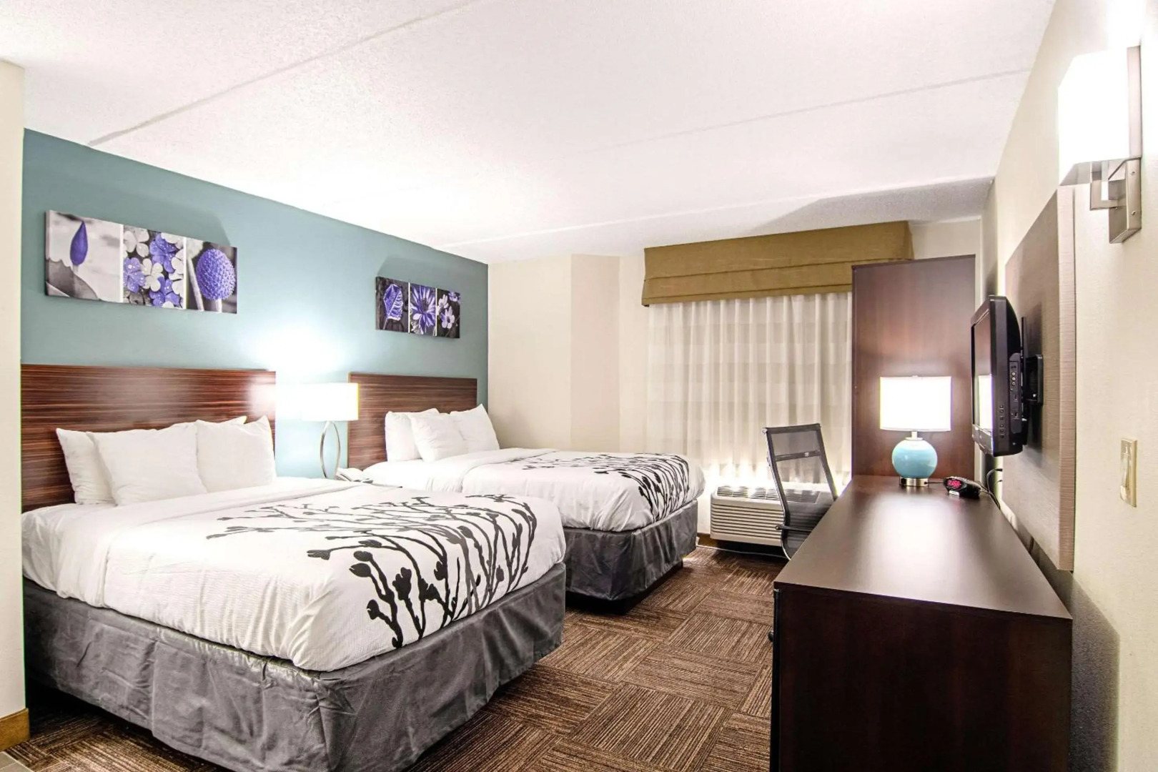 Sleep Inn & Suites Rehoboth Beach