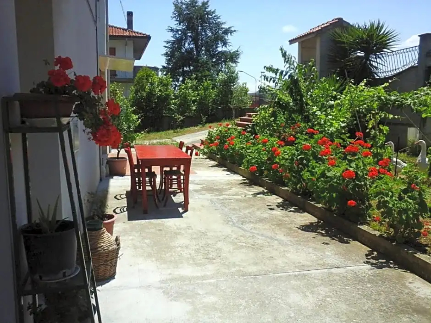 B&B Tio Pepe
