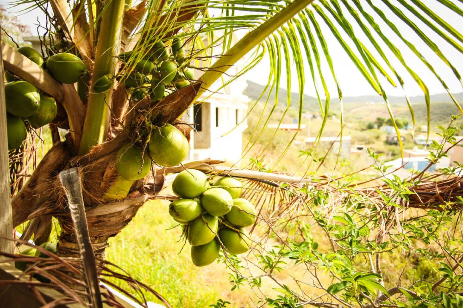 Casa Robinson Guest House