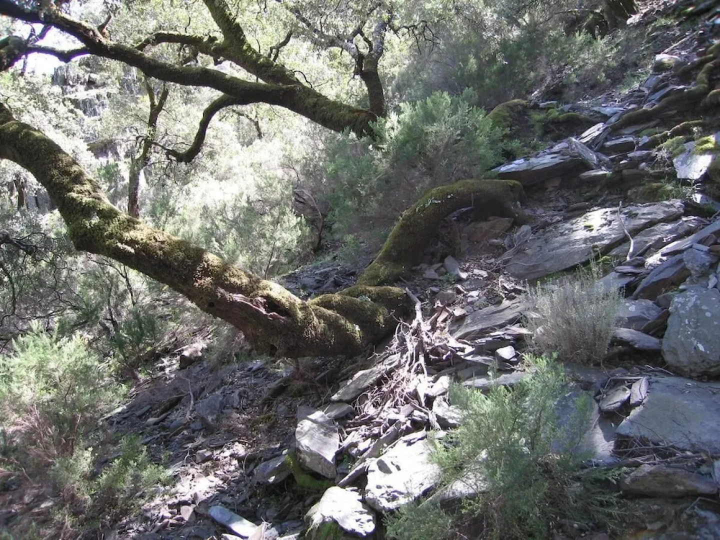 Casa Rural Casa Chica