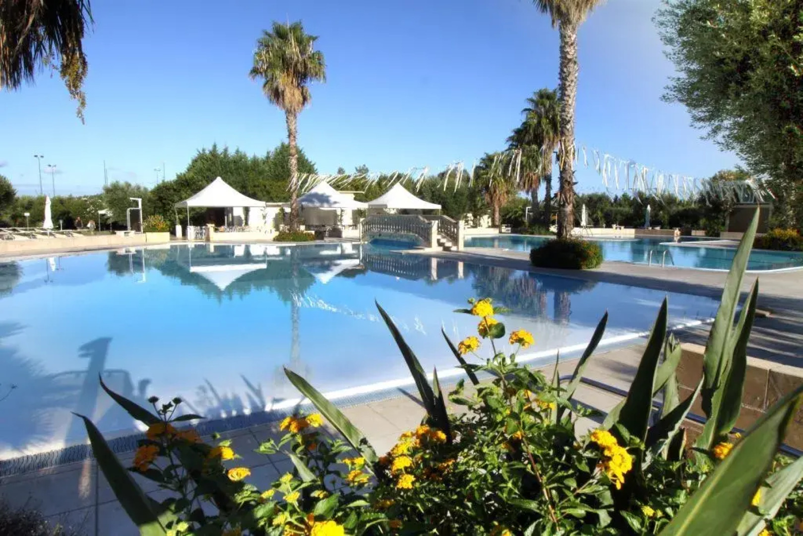 Nicolaus Club La Giurlita