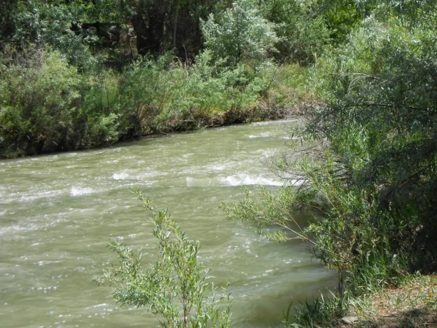 Quiet upstairs studio close to town 420 friendly