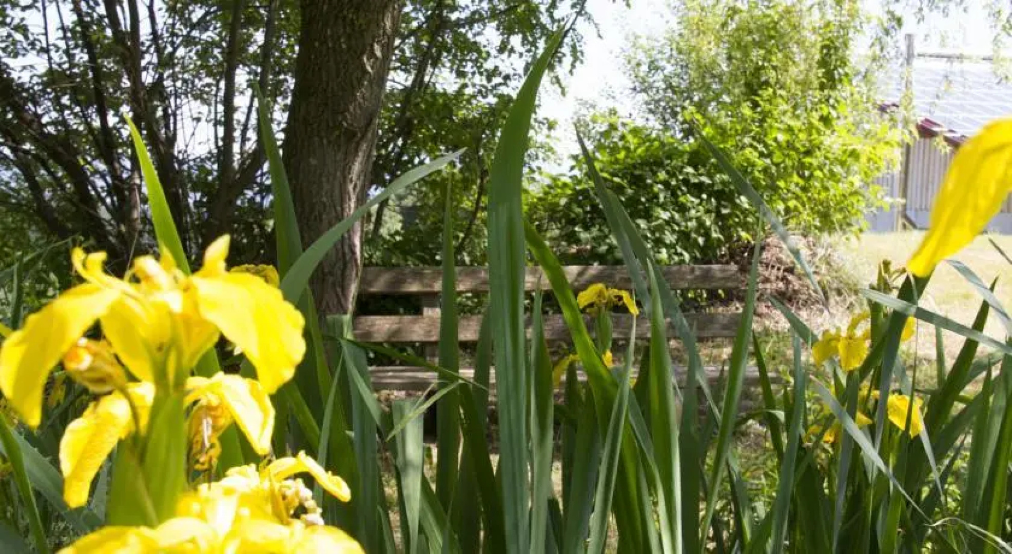 Gasthof zum Sonnenwald