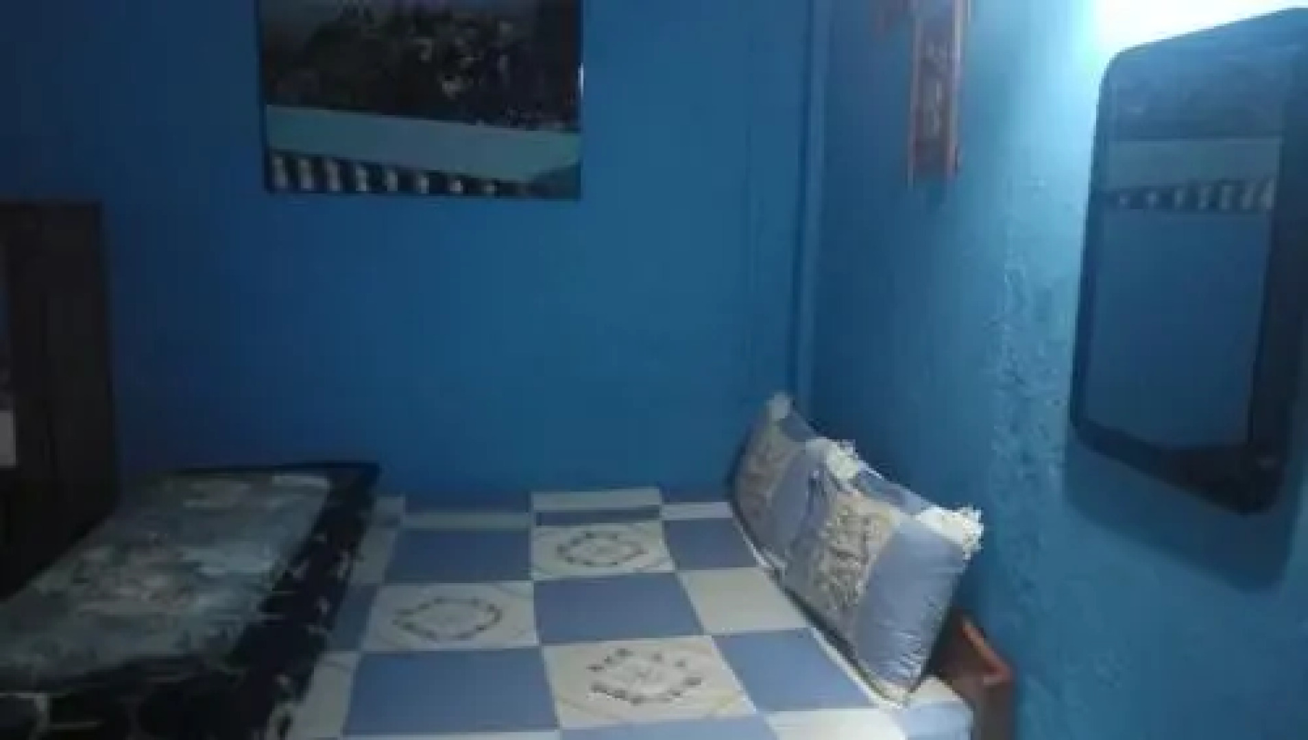 Vamoosetrail Singell