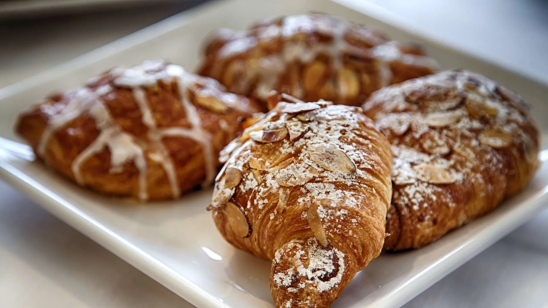 Best Western Ocean Sands Beach Resort