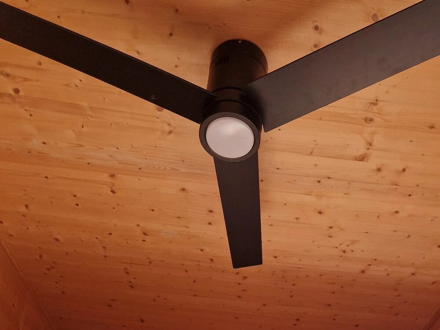 Tiny House & Horses Hébergement Atypique à Loulé