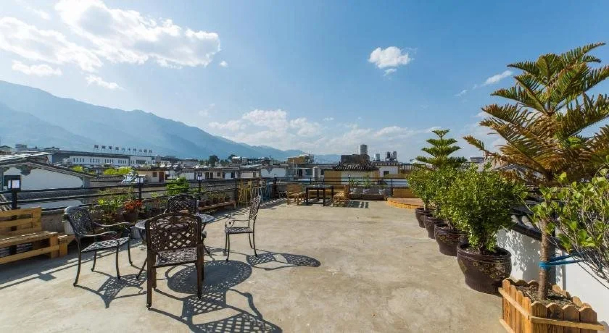 The Dragonfly Guesthouse