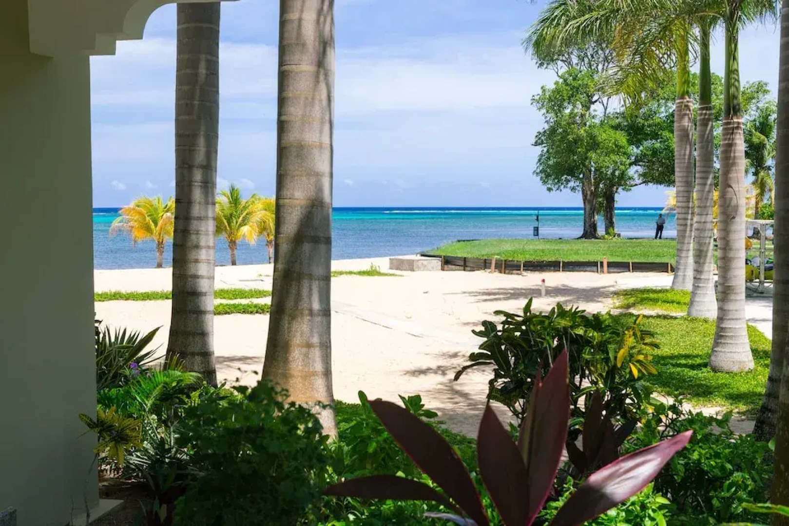 Lawson Rock - Angelfish 100