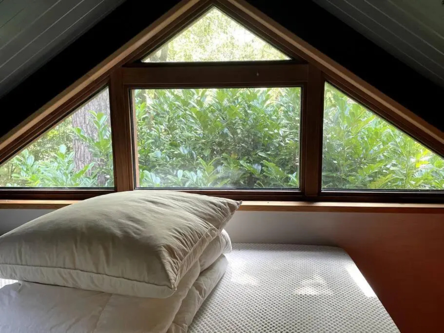 Houten bosvilla met sauna en 2 slaapkamers