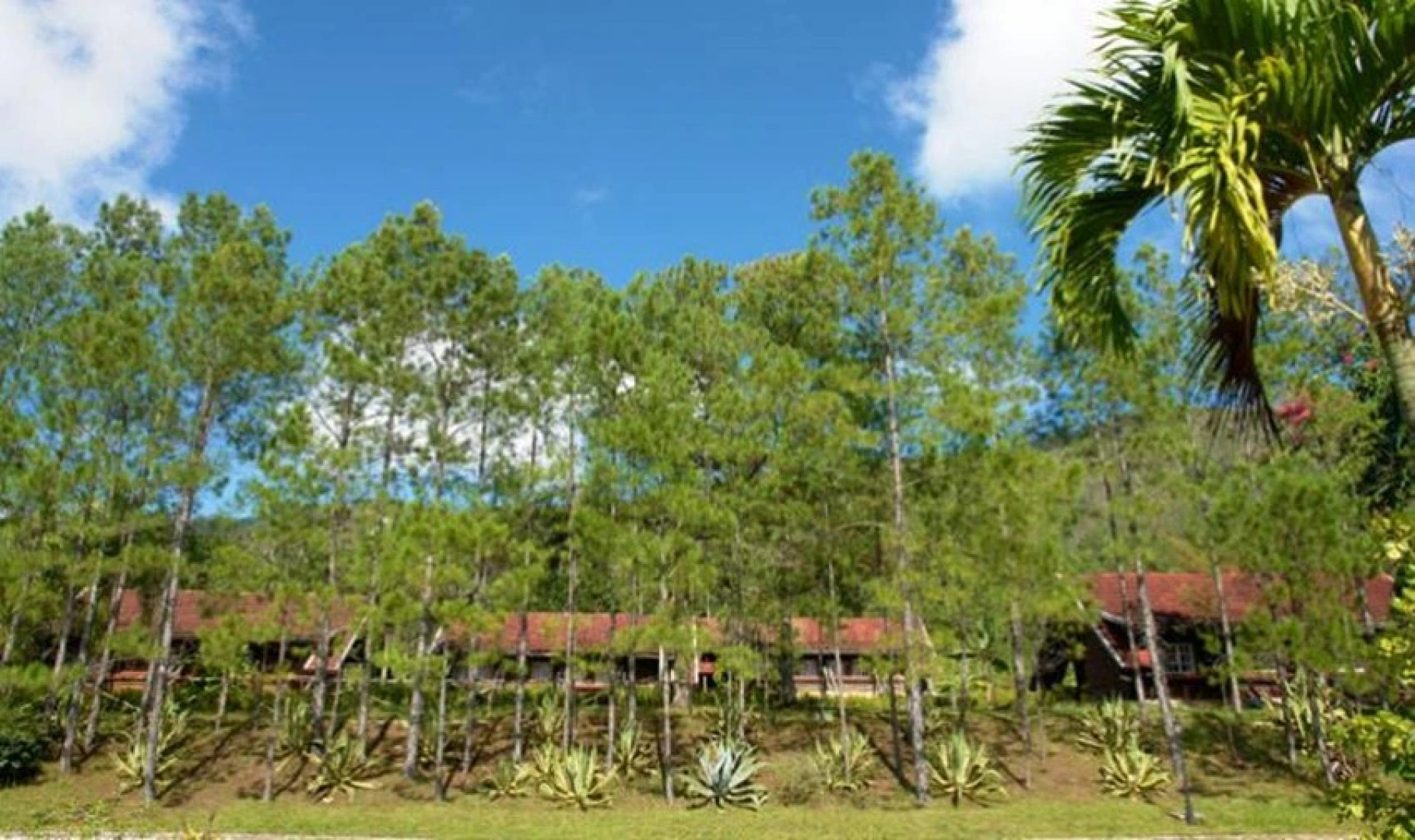 Villa Pinares de Mayari