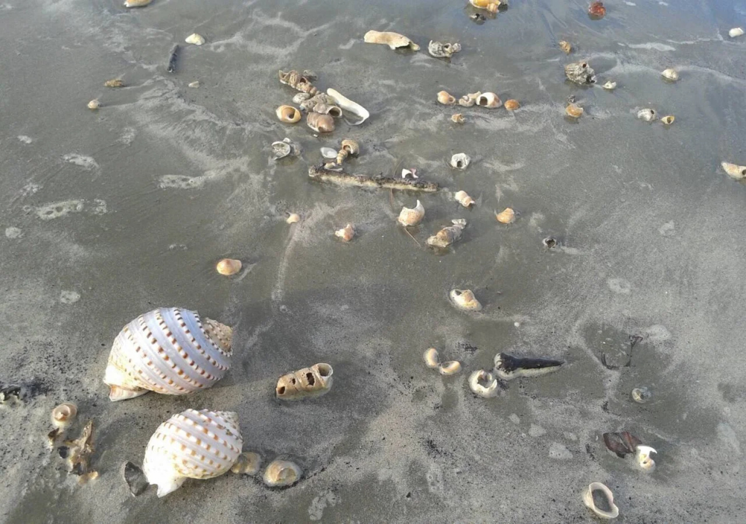 The Beach Boutique Resort