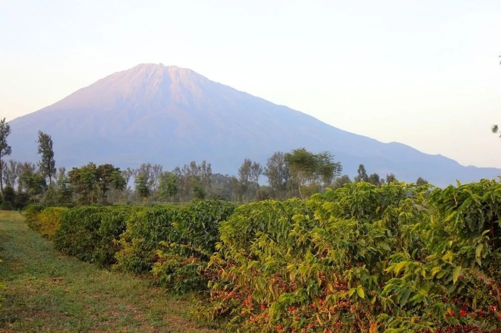 Meru House Lekisilai