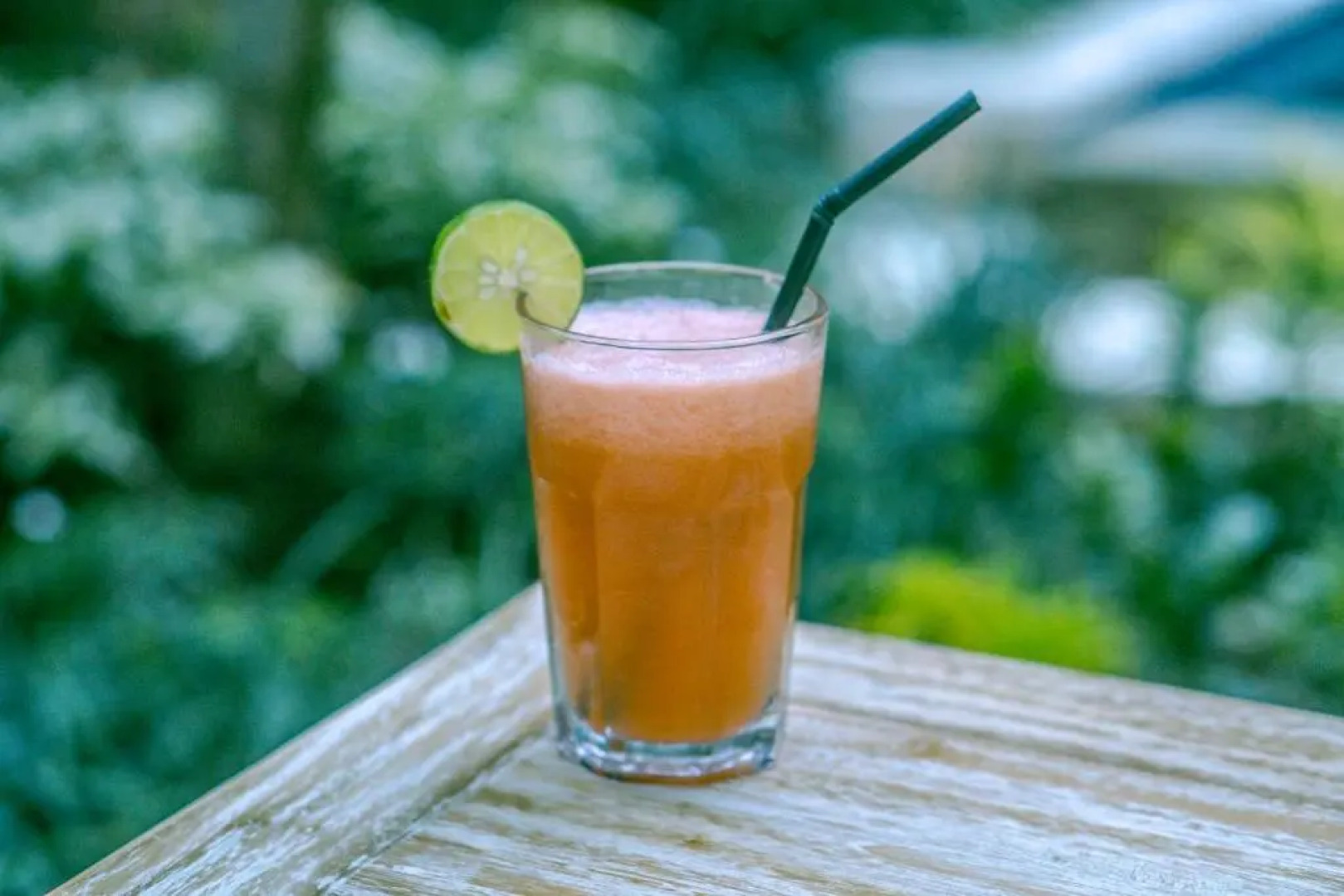 Ubud Tropical garden 2