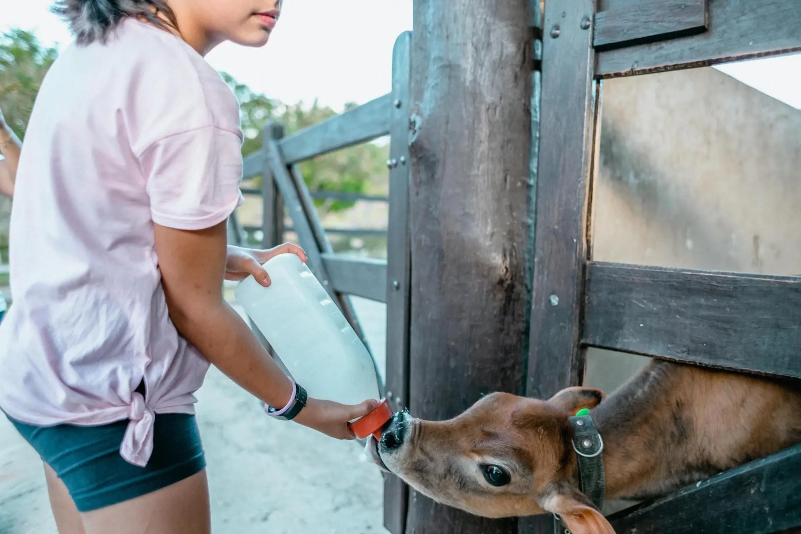 Hotel Fazenda Vale da Mantiqueira