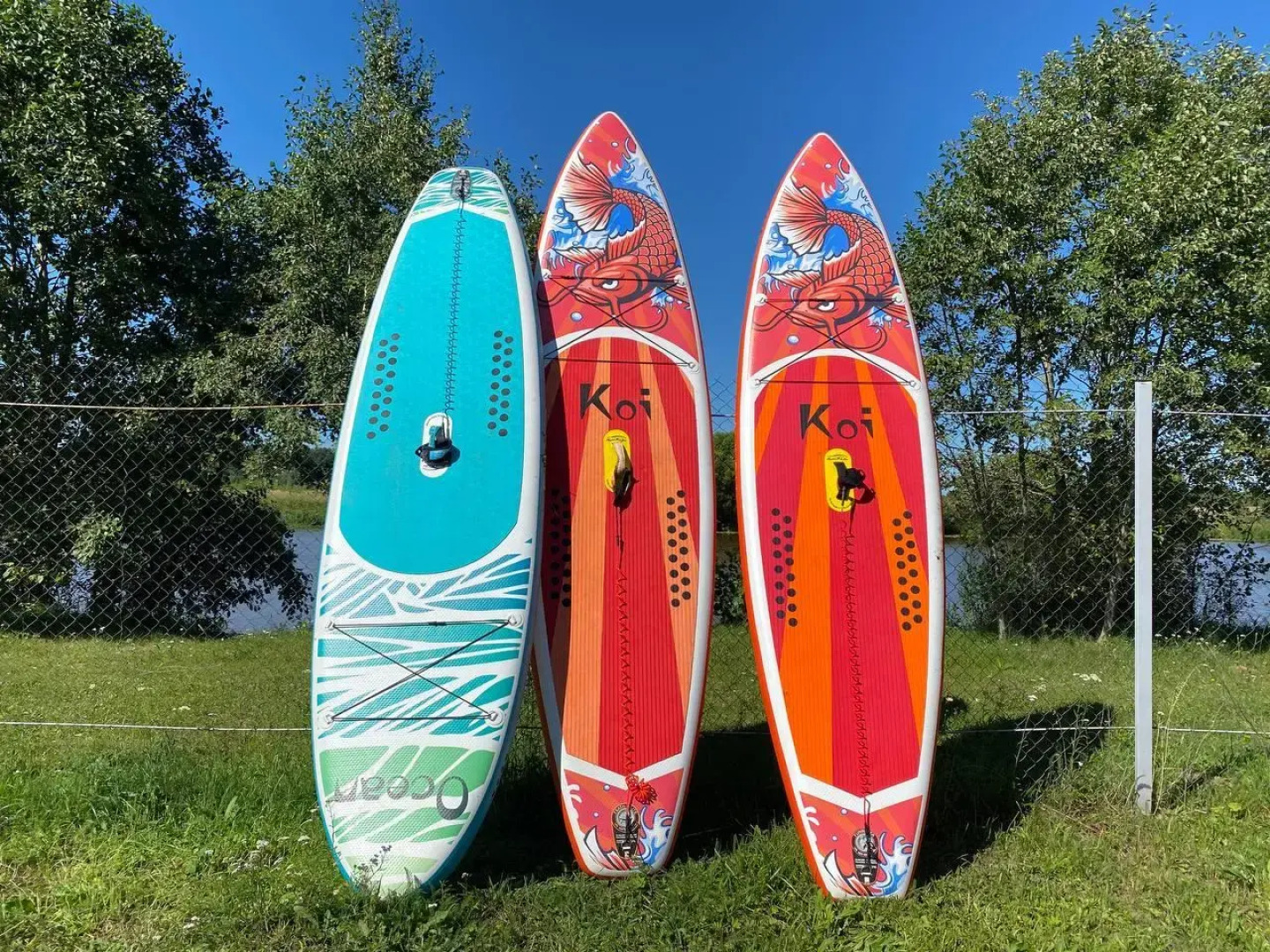 Happy Tree Camp (Хэппи Три Кемп)