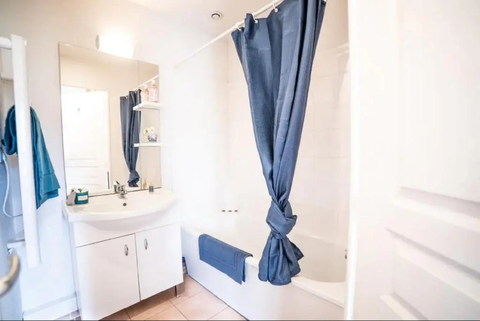 JASSE CAMARGUAISE 535 - PISCINE CLIM PARKING FAMILLE - CoHôteConciergerie