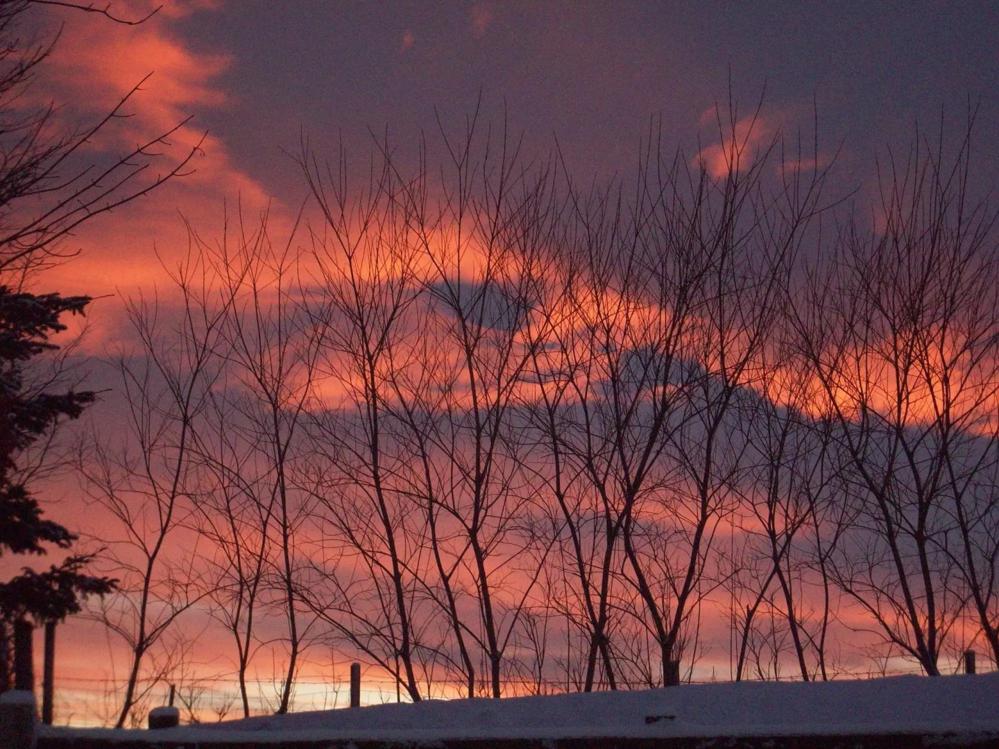 Lairg Highland Hotel