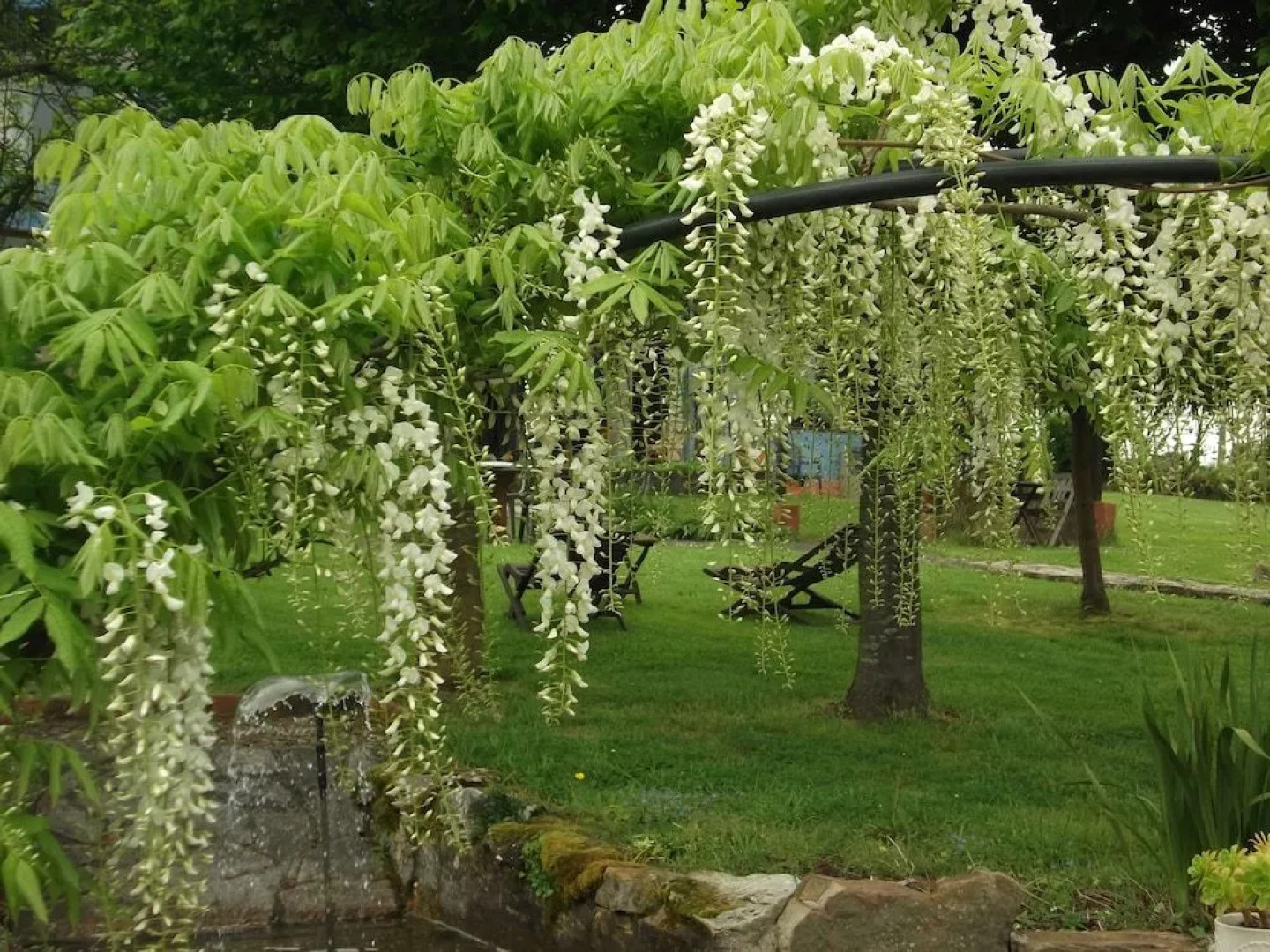 Hotel y Apartamentos Son de Mar