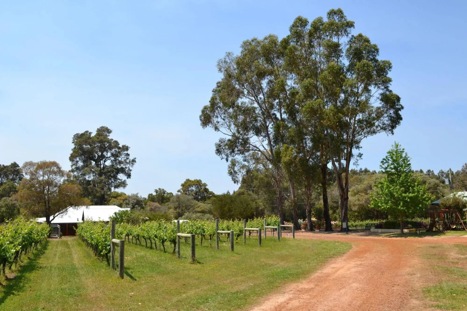 Island Brook Estate Vineyard and Chalets