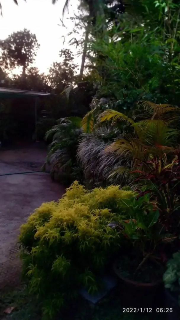 Fab Valley Homestay
