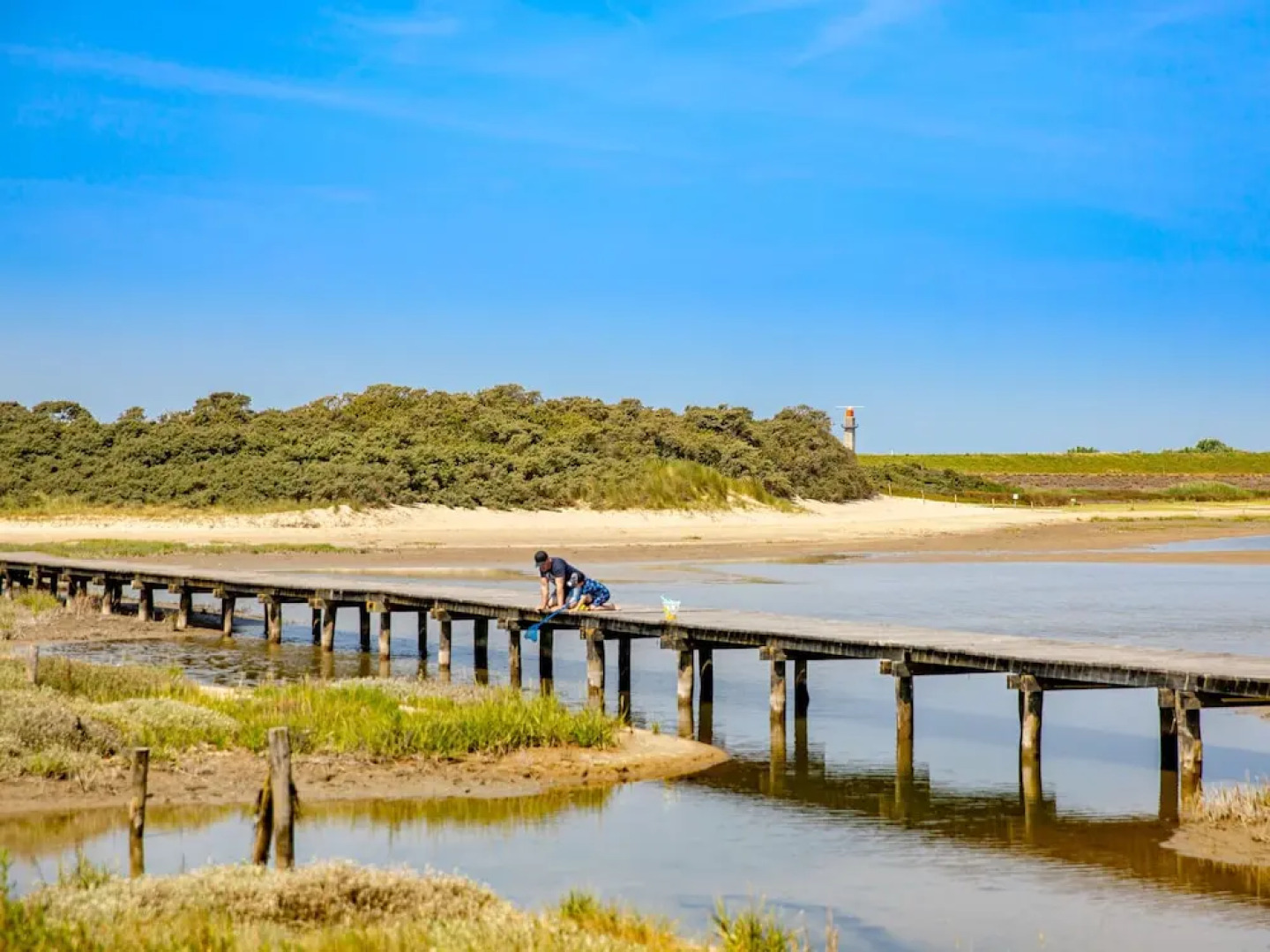 Hostel in Nieuwvliet Near the Beach
