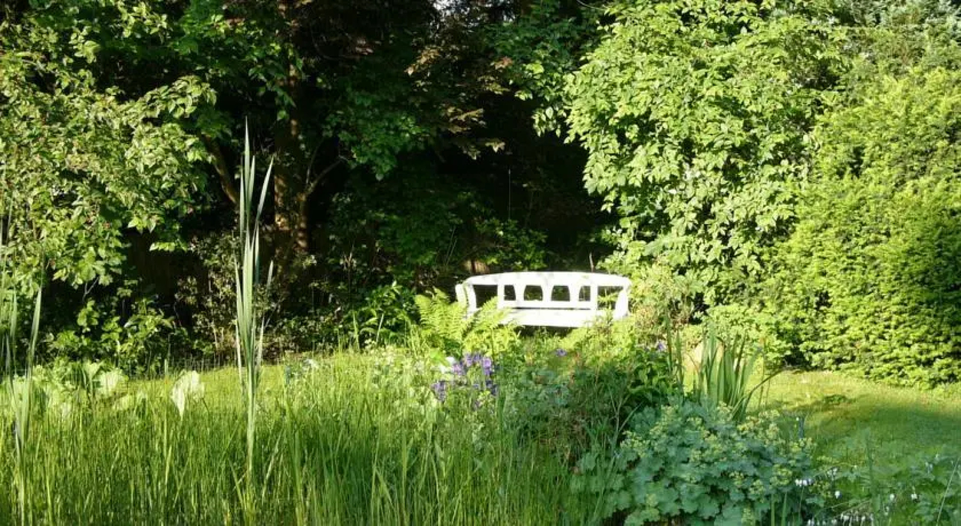 Water Lilly Bungalow