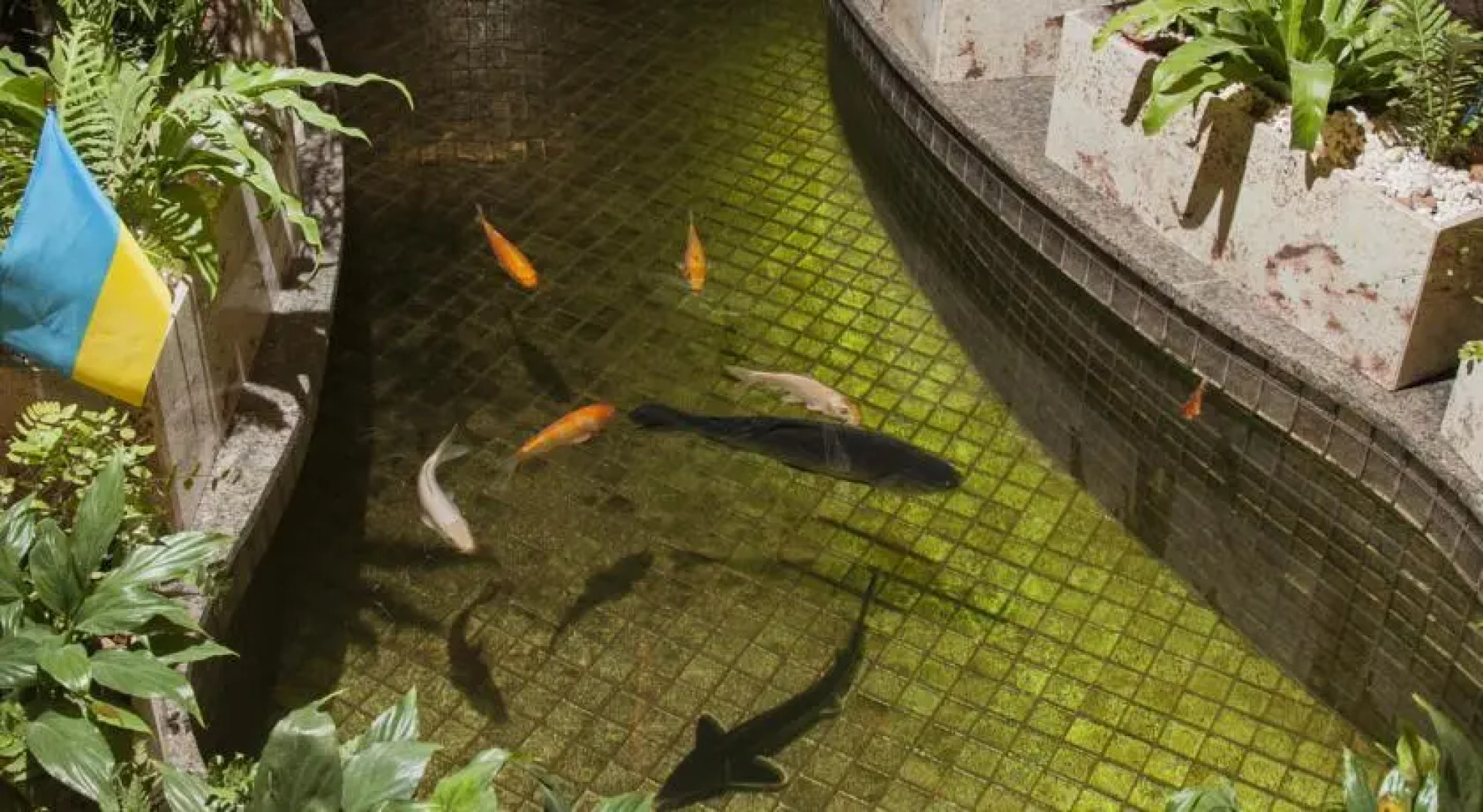 Отель Premier Abri